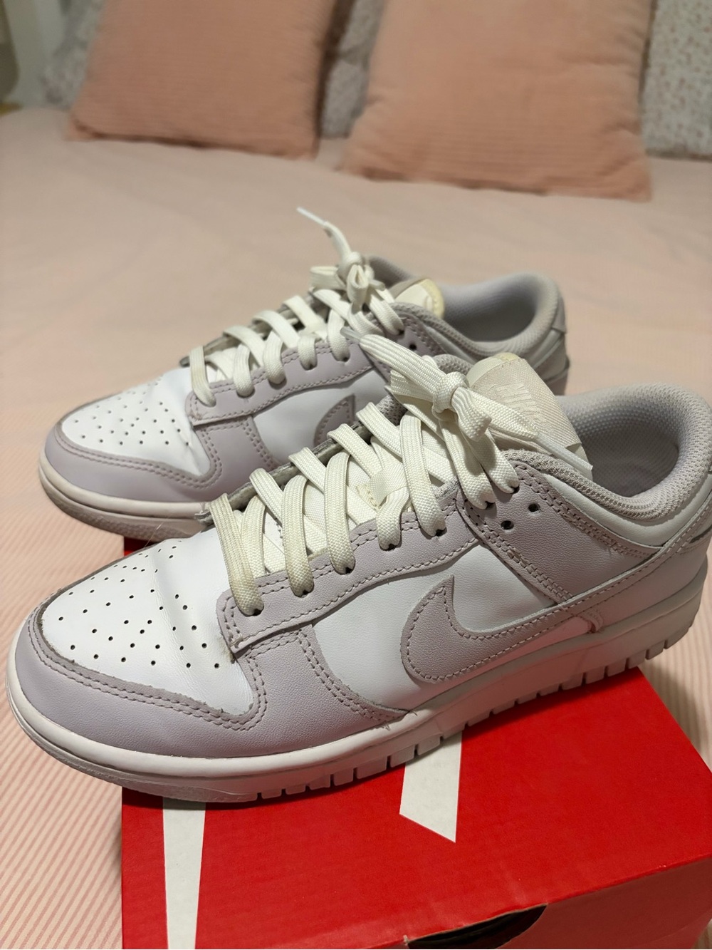 Nike Dunk Low Sneakers